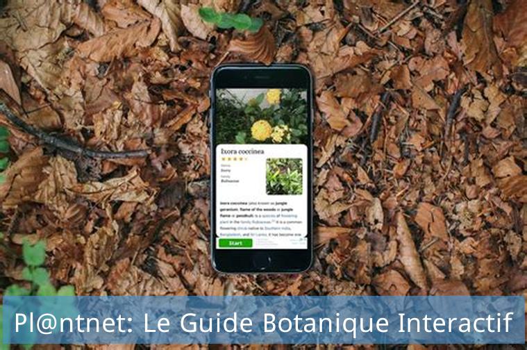 Pl@ntnet: Le Guide Botanique Interactif
